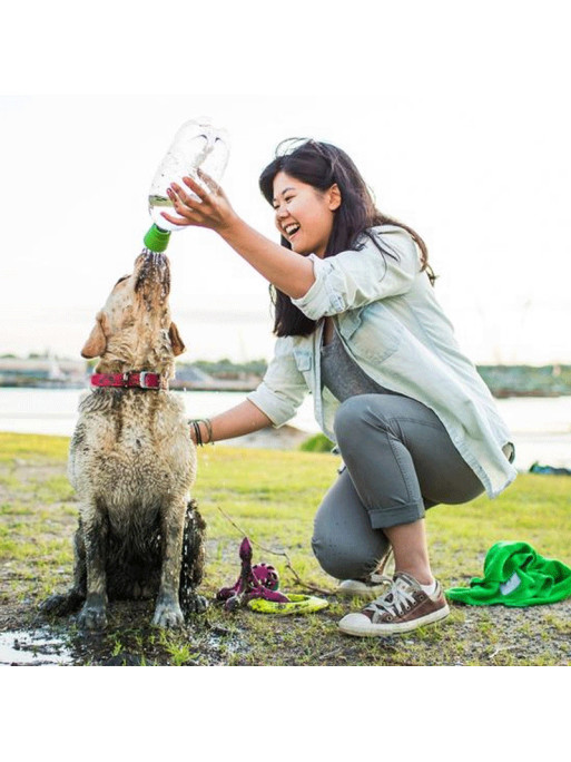 Bouchon pommeau de douche pour chiens