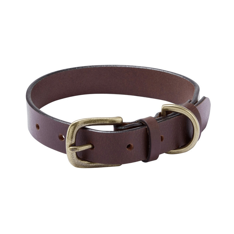 Collier pour chien Le Chameau