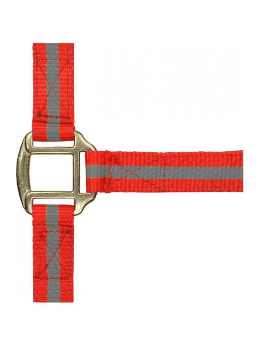 Licol nylon doublé cuir Licol nylon doublé cuir