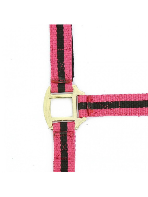 Licol nylon doublé cuir Licol nylon doublé cuir