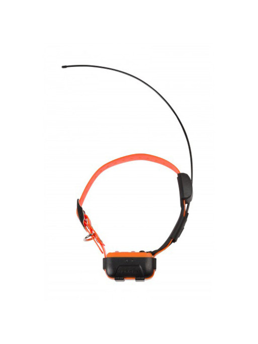 PACK REPERAGE DRESSSAGE CANICOM GPS PACK REPERAGE DRESSSAGE CANICOM GPS