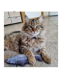Jouet pour chat "Saumon qui frétille"