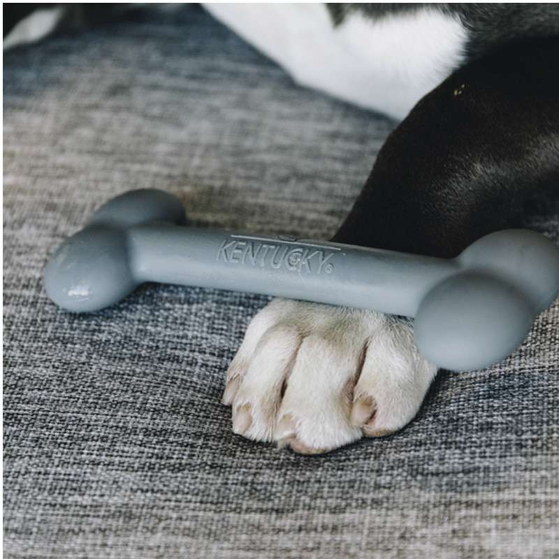 Jouet pour chien en silicone Kentucky