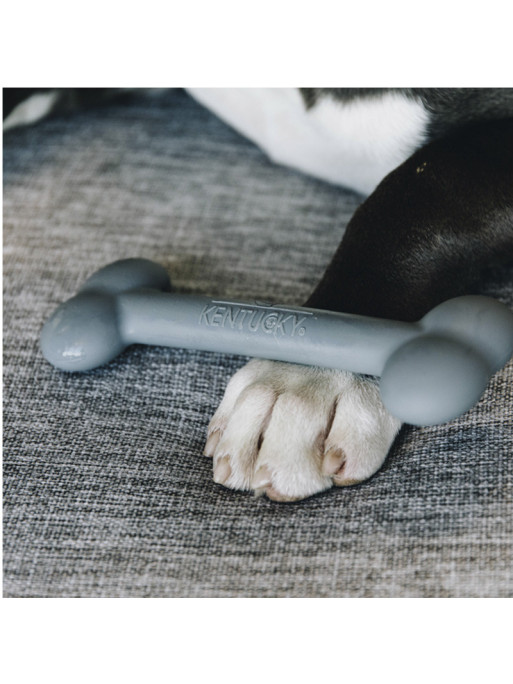 Jouet pour chien en silicone Kentucky