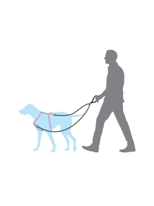 Laisse anti-traction Easy Walk Petsafe