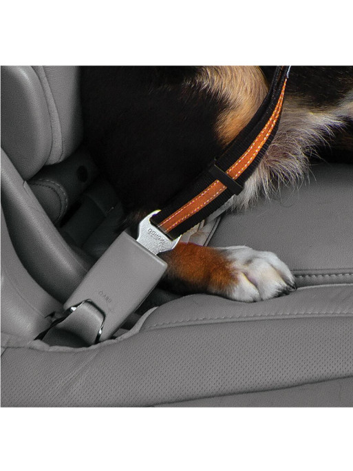 Attache de Sécurité Direct to Seatbelt pour chien