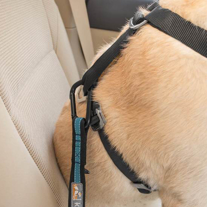 Attache de Sécurité Direct to Seatbelt pour chien