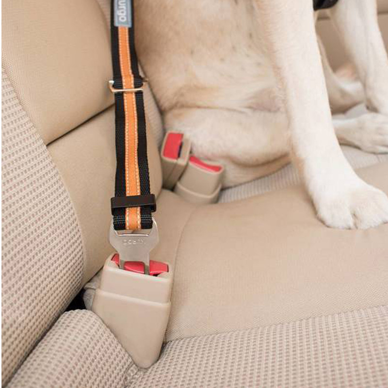 Attache de Sécurité Direct to Seatbelt pour chien