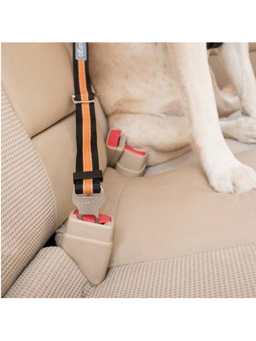 Attache de Sécurité Direct to Seatbelt pour chien