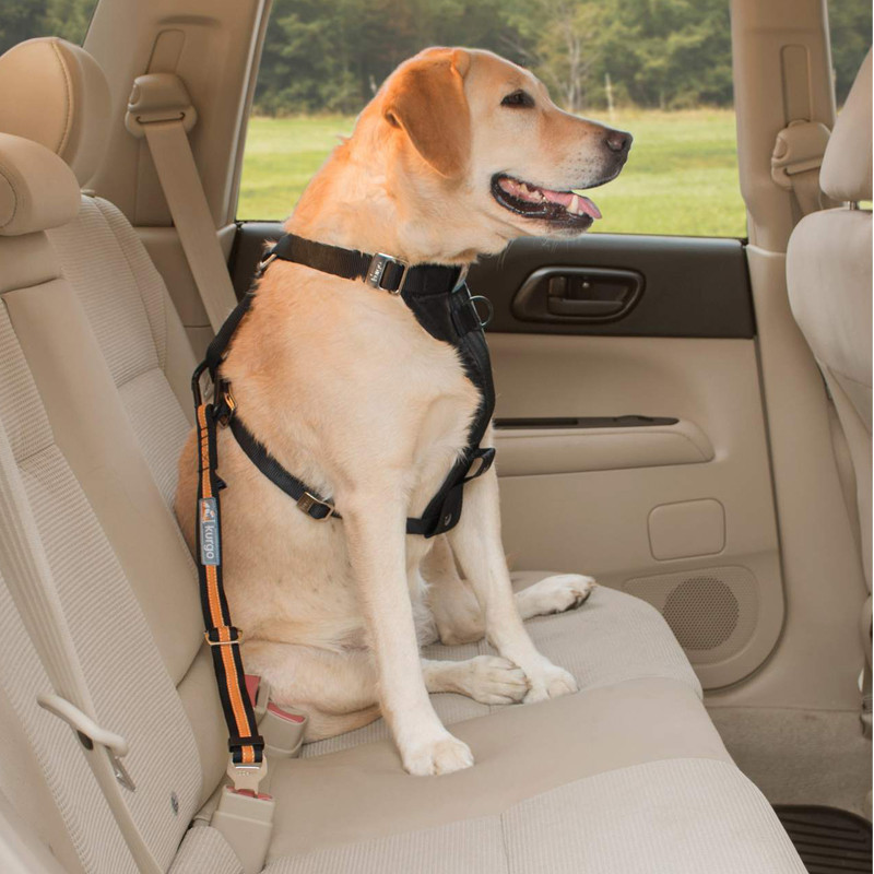 Attache de Sécurité Direct to Seatbelt pour chien