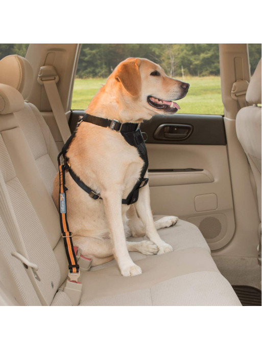 Attache de Sécurité Direct to Seatbelt pour chien