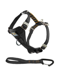 Harnais de sécurité Tru-Fit pour chien
