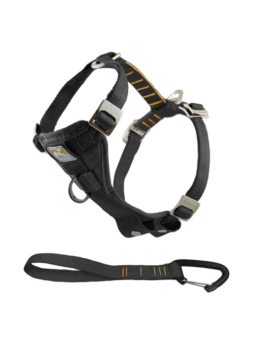 Ceinture de sécurité pour chien - XL