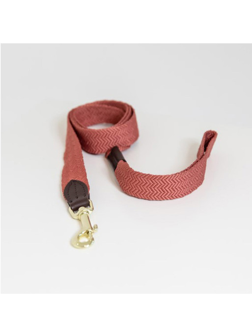 Laisse pour chien Jacquard Kentucky Laisse pour chien Jacquard Kentucky