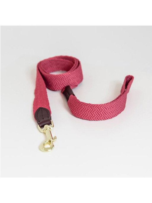 Laisse pour chien Jacquard Kentucky Laisse pour chien Jacquard Kentucky