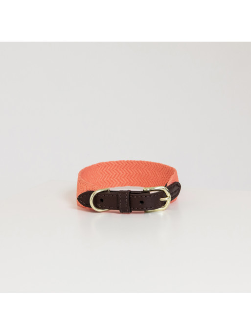 Collier pour chien Jacquart Kentucky Collier pour chien Jacquart Kentucky