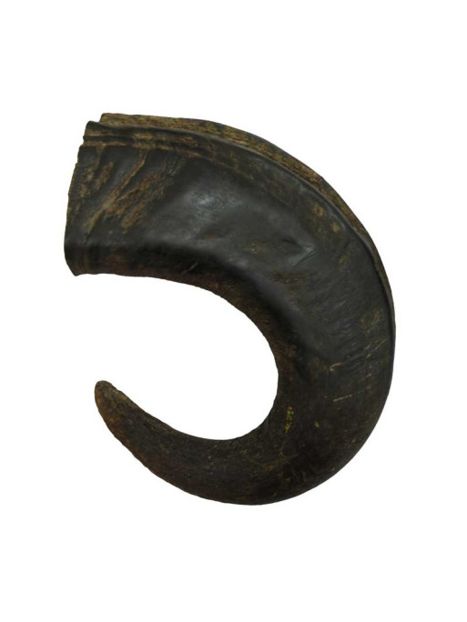 Corne de buffle L 320g Bubimex Corne de buffle L 320g Bubimex
