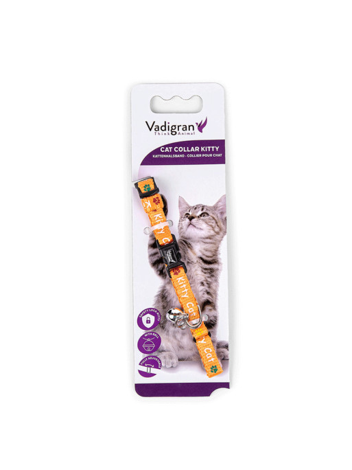 Collier pour chaton Kitty Vadigran