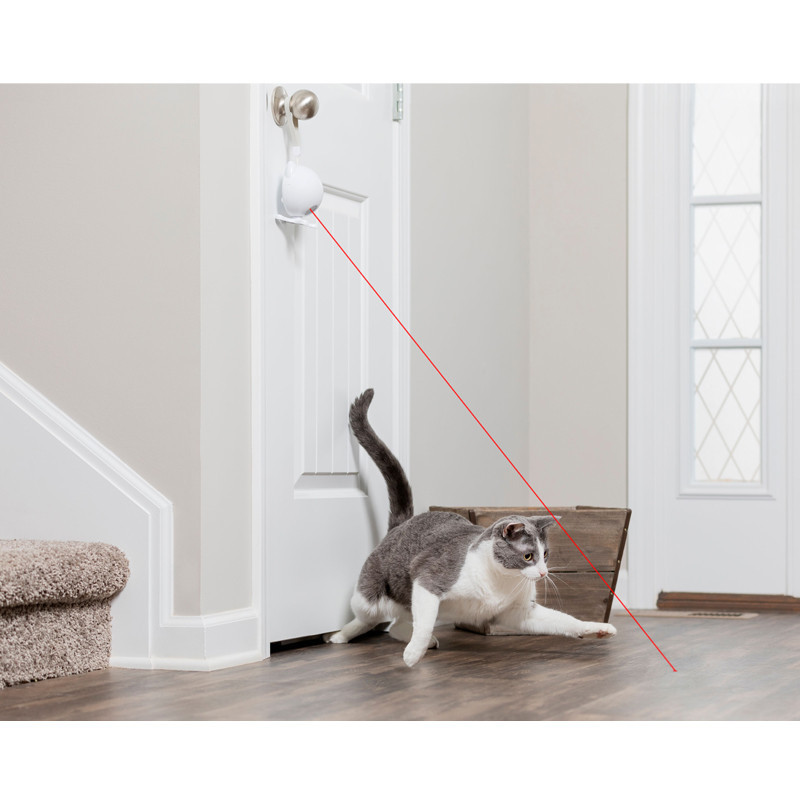 Jouet laser pour chat Dancing Dot petsafe