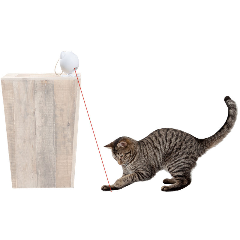 Jouet laser pour chats