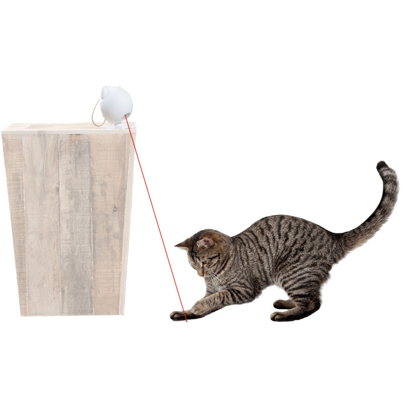 Jouet laser pour chat Dancing Dot petsafe