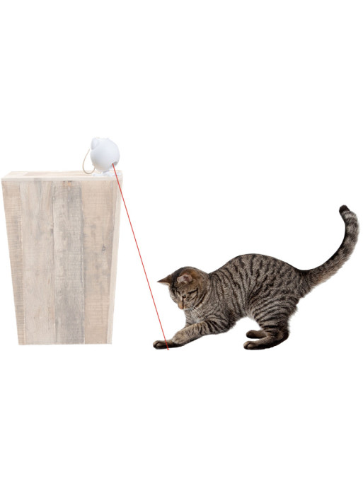 Jouet laser pour chat Dancing Dot petsafe