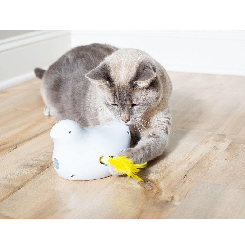 Jouet électronique pour chat Peek a Bird PetSafe