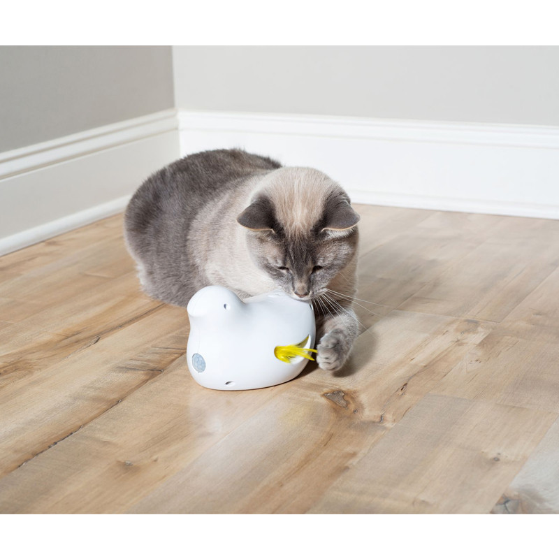 Jouet électronique pour chat Peek a Bird PetSafe