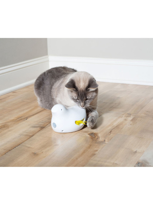 Jouet électronique pour chat Peek a Bird PetSafe