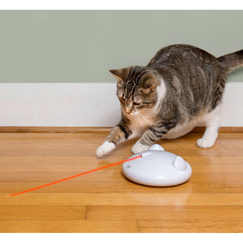 Jouet laser Zip pour chat PetSafe