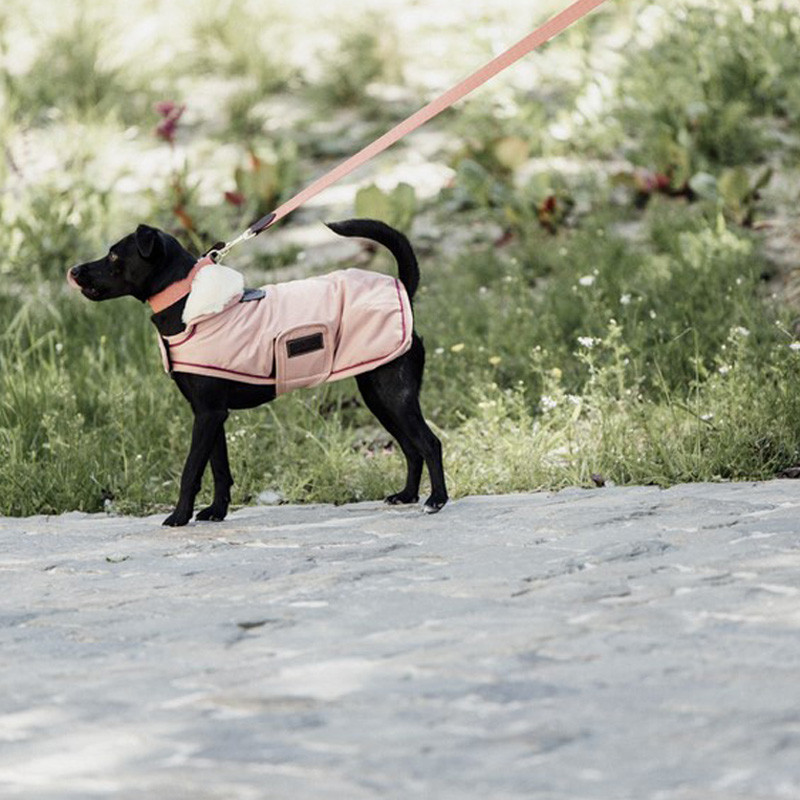 Manteau Imperméable pour chien 160g Kentucky