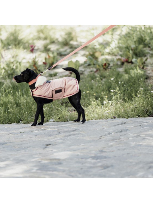 Manteau Imperméable pour chien 160g Kentucky