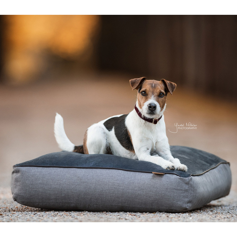 Panier pour chien Soft Pillow Kentucky