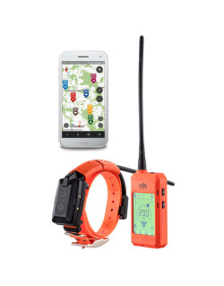 Ensemble collier GPS et dressage X30T Dogtrace