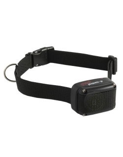 Collier D-Control Dogtrace