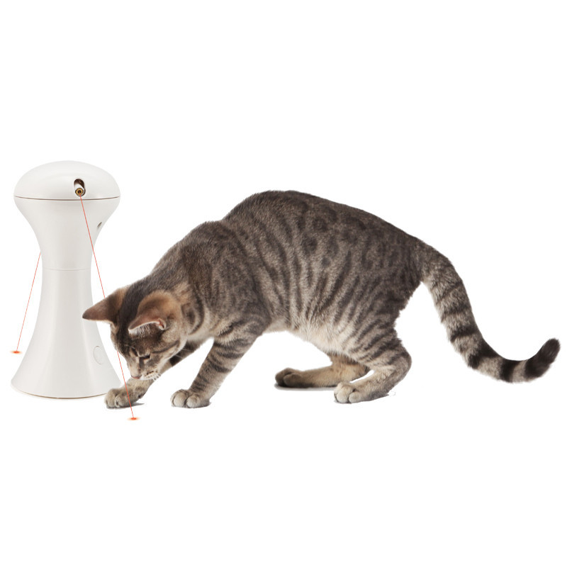 Jouet laser Multilaser pour chat