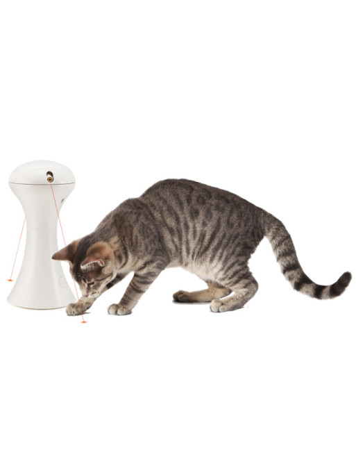 Jouet laser Multilaser pour chat