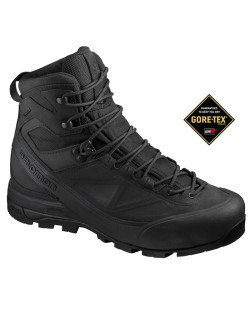 Salomon X Alp GTX Forces Noir