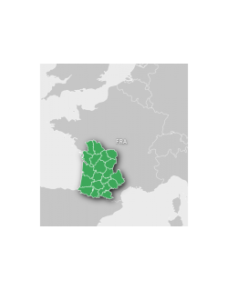 Carte Garmin Topo France V6 PRO