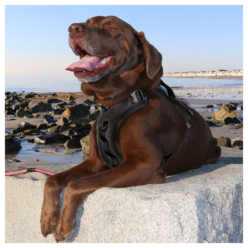 Harnais - JOURNEY AIR - Noir