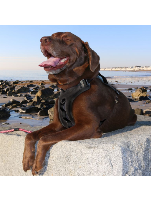 Harnais - JOURNEY AIR - Noir