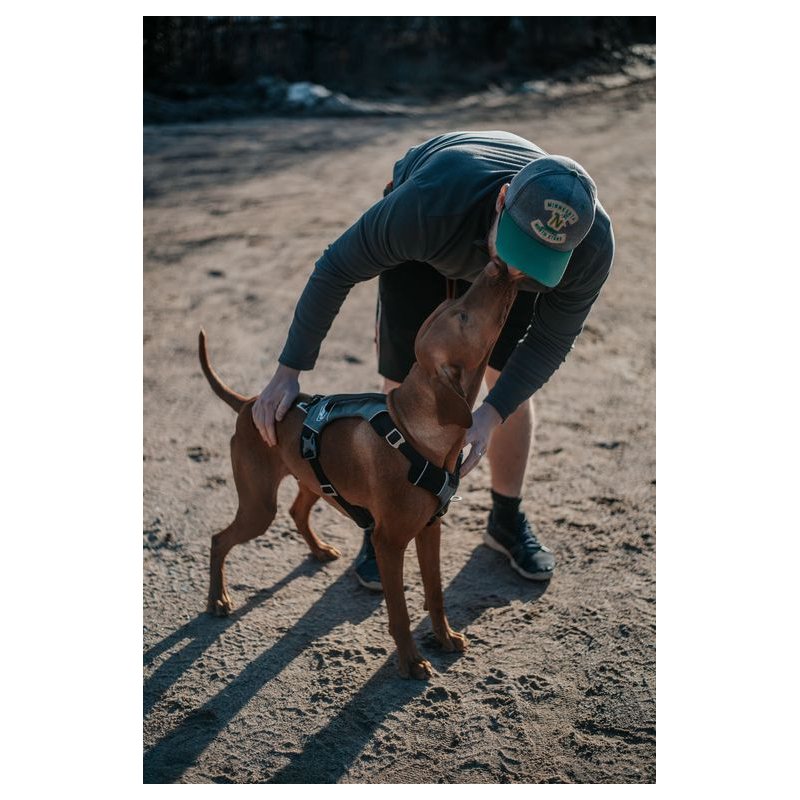 Harnais - JOURNEY AIR - Noir