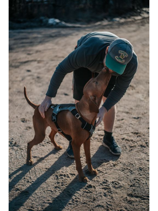 Harnais - JOURNEY AIR - Noir