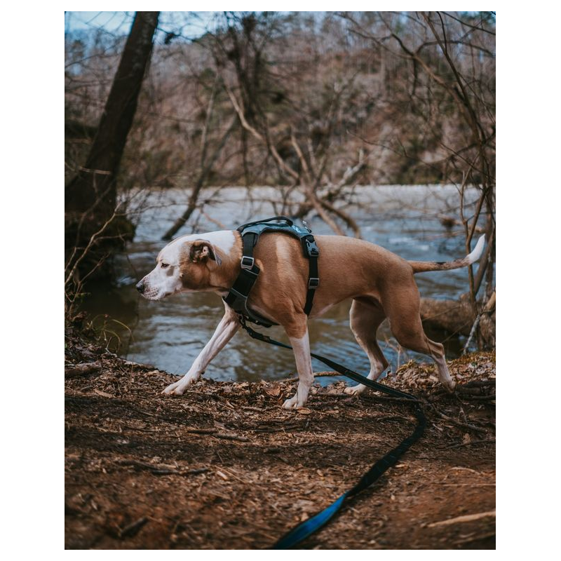 Harnais - JOURNEY AIR - Noir