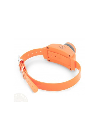 Collier SPORTDOG Supp. Beeper