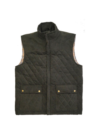 Gilet matelassé Paddington Lovergreen