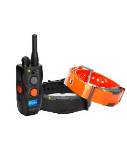 Collier de dressage Arc 800 / 802 Dogtra - 1 à 2 chiens