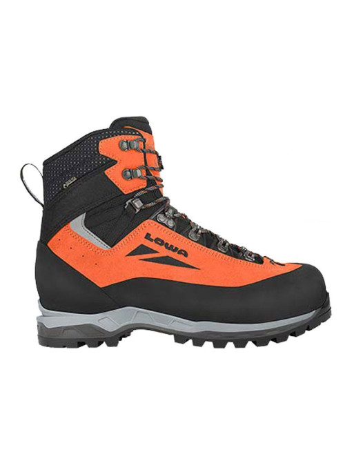 Chaussure Cevedale Evo GTX