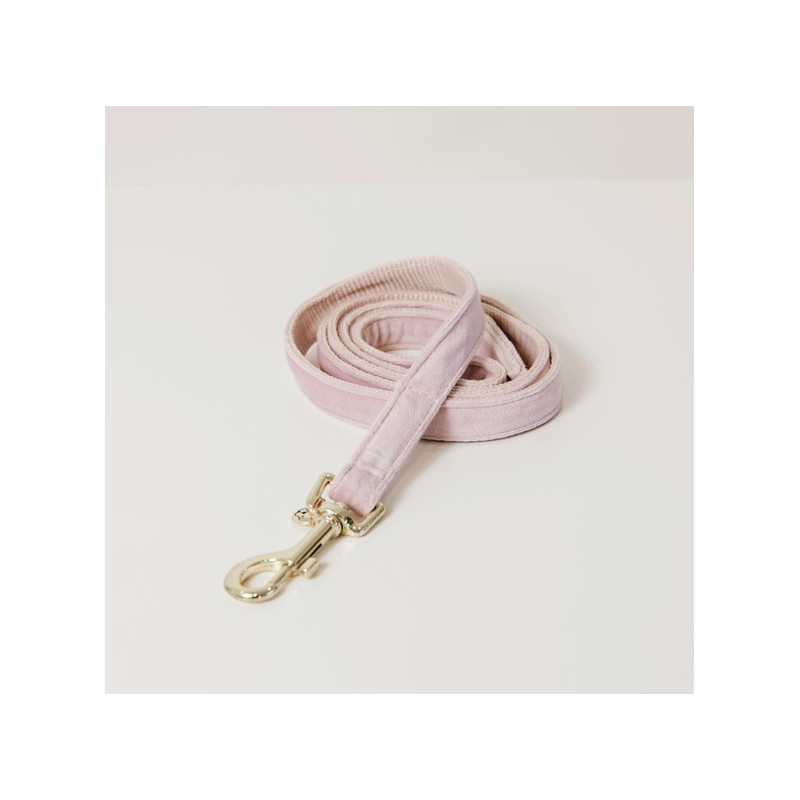 Laisse Velvet Velours Kentucky