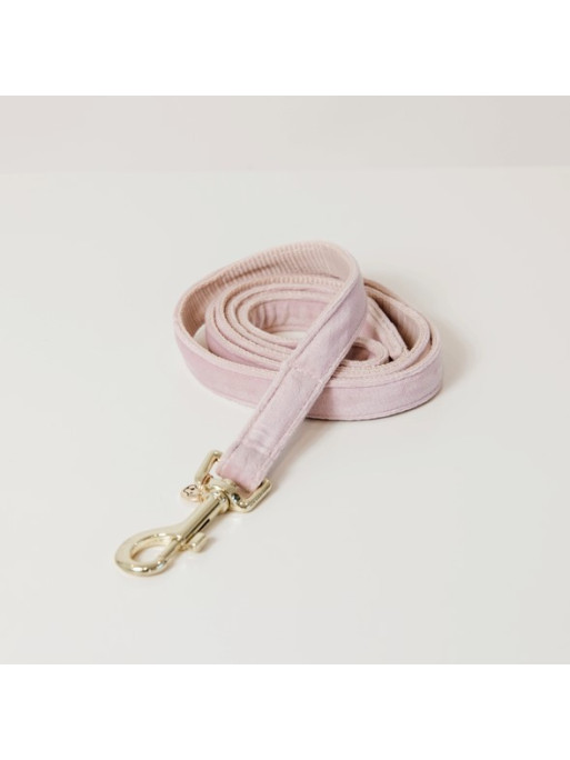 Laisse Velvet Velours Kentucky